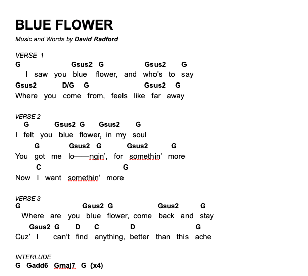 Blue Flower Digital Chord Book The Gray Havens Merch Store